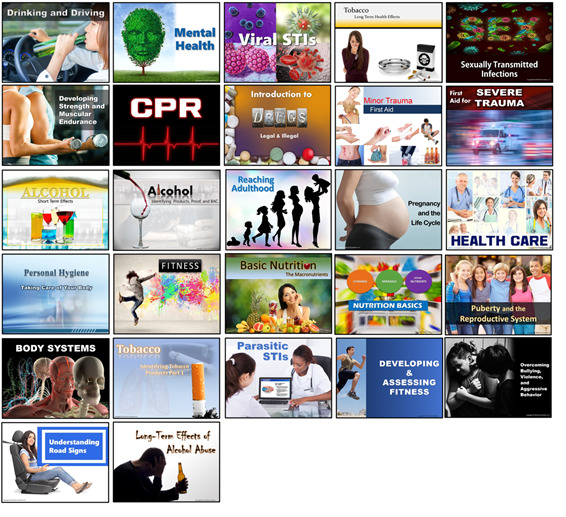 Collage of all health lesson product images that belong to this site.